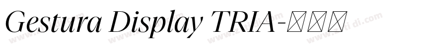 Gestura Display TRIA字体转换 Gestura Display TRIA字体转换